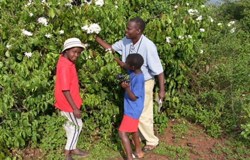 samsung digital camera