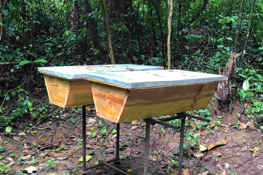 Bee Keeping bees keep